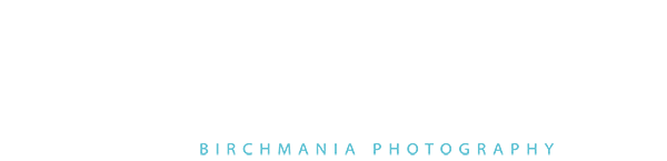 BirchMania – Photography